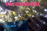 ترمیم سنگ خوردگی شیشه اتومبیل 09125239881 _ 02144145701 _ ترمیم شیشه