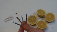 Build Your Own Lemon Battery