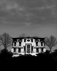 پوستر موشن گرافیک " یک قناری، یک کلاغ "