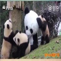 پرستار با لباس مدل!