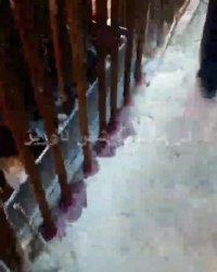 پروژه هشت بهشت تبریز / کاشت شیمیایی میلگرد انتظار دیوار برشی