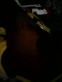 تصادف خواهر زاده