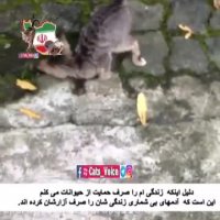 حمایت از حیوانات را همگانى كنید