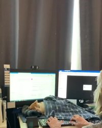 معضلات دورکاری با گربه ها