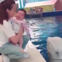 آخه چرا این دلفینا انقد جیگرن