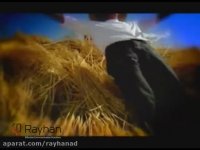 خرید اینترنتی انواع ماکارونی در آلیار