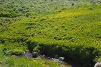 تور دریاچه نئور تا سوباتان