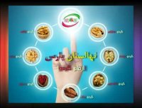 فروش نهال گردو - نهالستان پارس- 09152157465