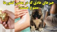 چیزهای عادی که در بعضی کشورها ممنوع هستند !