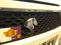 صداگیری دنا | کاراک