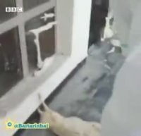 قطعی مکرر برق و اعتراض عجیب خبازان در خاش