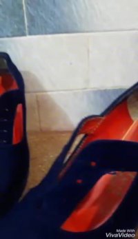 فروش مخملپاش فستوآلمان نیوکالر02156571279