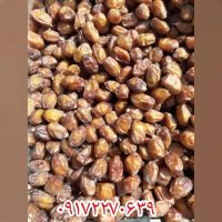 خرمای خاصویی