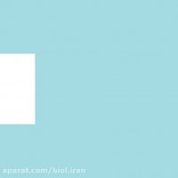 معرفی سرم موی بیول در فروشگاه اینترنتی آلیار alyar