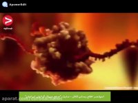 کرونا ویروس|اگر کرونا بگیریم دقیقا چه اتفاقی می افتد؟!؟!؟