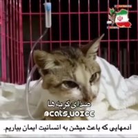 آدمهایى كه باعث میشن به انسانیت ایمان بیاریم.