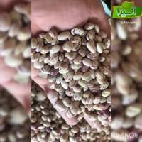 فروش لوبیا چیتی خمین