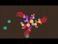 اسید هیومیک  - شرکت پایا پویش سبز