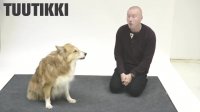 How Dogs React to a Human Barking | Voice Actor Pranks Dogs