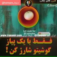 فقط با یک پیاز گوشیتو شارژ کن!!!