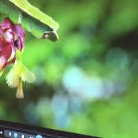 تست ویدئو پروژکتور NEC M282X