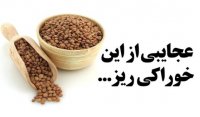 عجایبی از عدس ,, این خوراکی ریز