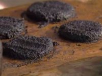 همبرگر پشه در آفریقا !