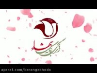 یکی زن آورد همه زن آوردن