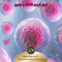 فریز کردن تخمک و جنین | متخصص زنان و زایمان و درمان های فوق تخصص ناباروری | دکتر سوزان پیروان