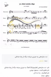 نت سازدهنی یه چیزی میشه دیگه