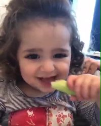 آدم اینو میبینه اصلا عاشق کرفس خوردن میشه