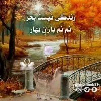 کلیپ استوری وضعیت واتساپ