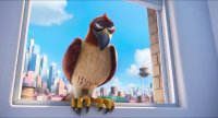 انیمیشن زندگی مخفی حیوانات خانگی The Secret Life of Pets 2016