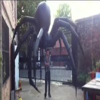 ربات عنکبوت از نوع غول پیکر