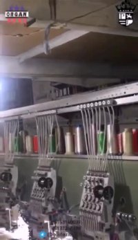 دستگاه12کله فول اپشن فریم اروپایی قیطان متصل