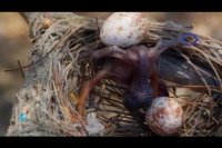 قصه قشنگ زندگی!