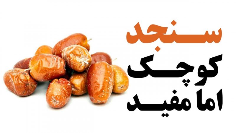 خواص سنجد را دریاب