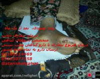 درمان دیابت کرج با دارو گیاهی حکیم محمد صدیقی 09120580638