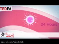 چرخه قاعدگی - آزمایشگاه پردیس مشهد