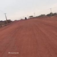 جزیره زیبای هرمز از لنز دوربین آرش لند