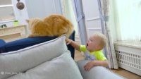 بانوان کودک ولاد و نیکی / نیکی و ولا چالش توپ های رنگی / سرگرمی کودک