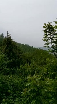 اجاره ویلا در شمال