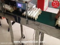 جت پرینتر تخم مرغ تمام استیل