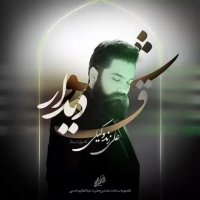 آهنگ جدید علی زند وکیلی شوق دیدار