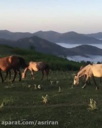 اسب ها روی ابر، در جاده اسالم به خلخال