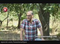 رامبد جوان، شجریان را به چالش سطل آب یخ دعوت کرد!