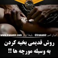 روش قدیمی بخیه کردن توسط مورچه ها