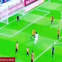 یک گل انفرادی از "مارسلو"