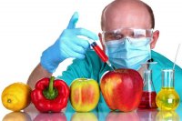 تاریخچه کشت و تولید محصولات تراریخته