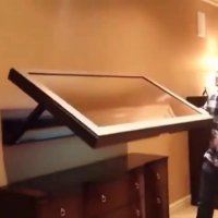 ال سی دی های متحرک